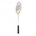 Baden Champions Badminton Set