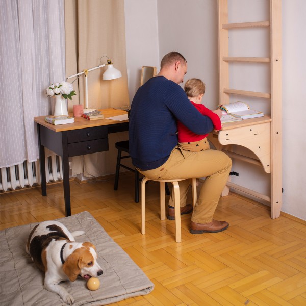 BenchK BenchTop BT204 - adjustable design