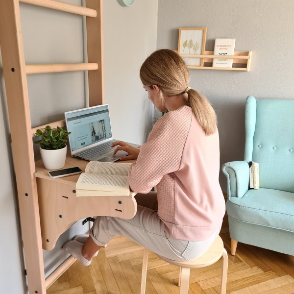 BenchK BenchTop BT204 - as a table