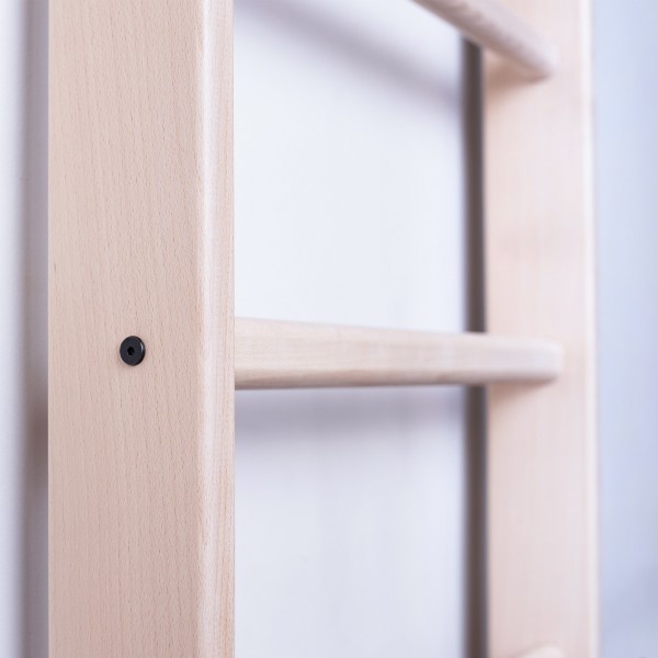 BenchK 111 Series 1: 100 Wall Bars + Pull Up Bar PB204 - close-up view