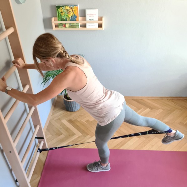 BenchK 111 Series 1: 100 Wall Bars + Pull Up Bar PB204 - suspension training workout