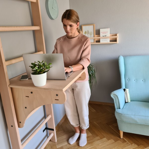 BenchK 112 Series 1: 100 Wall Bars + Pull Up Bar PB204 + BenchTop BT204 - standing