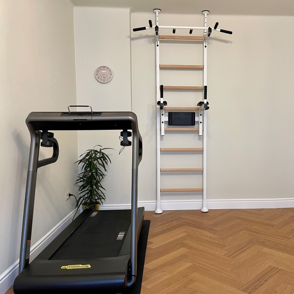 BenchK 522W Series 5: 521 Wall Bars (White) + Dip Bar (White) - assembled