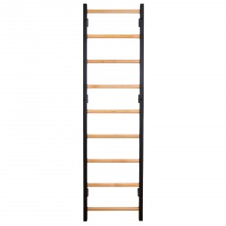 BenchK 700 Wall Bars