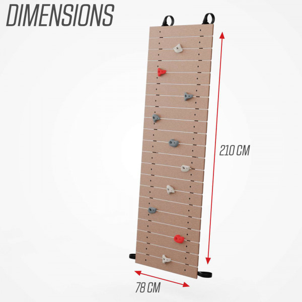 BERG PlayBase Climbing Wall with dimensions shown