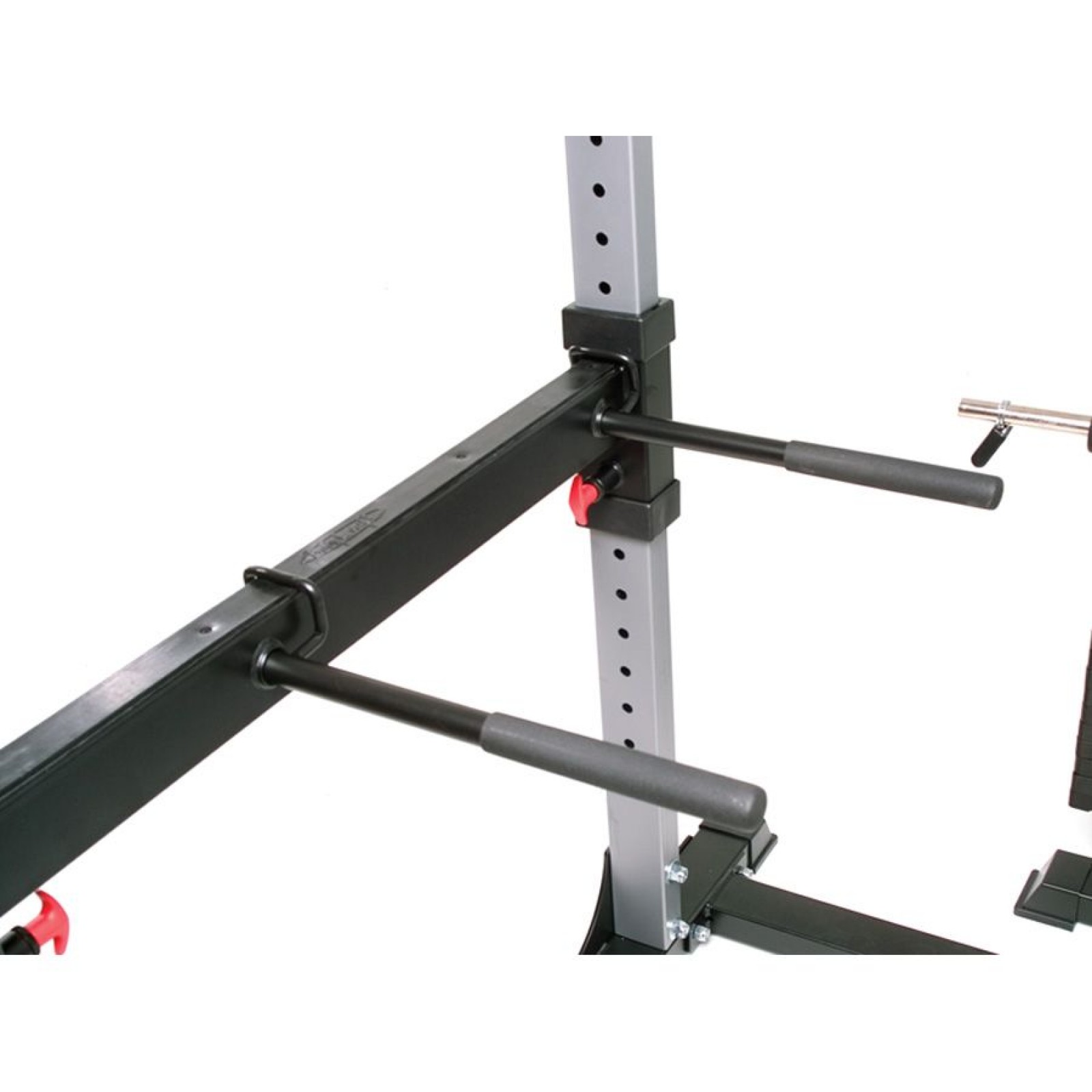 Power Rack F430 BodyCraft F432 Dip Attachments -Shop Online - Fitshop