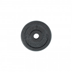 BodyMax Cast Iron 1" Standard Weight Plates - Light Grey
