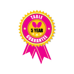 Butterfly Compact Outdoor/Indoor Wheelaway Table Tennis Table