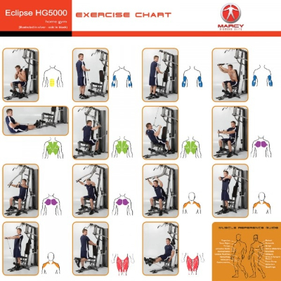 Multi-gym, exercises