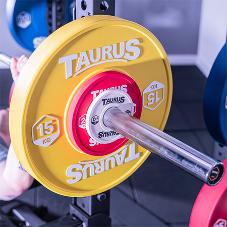 Detailed view of the Taurus Fractional Weight Plates.