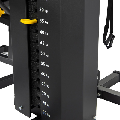 Multi-Gyms
