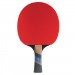 Cornilleau Excell 1000 ITTF Bat