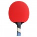 Cornilleau Perform 500 ITTF Bat