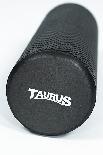 Taurus Recovery Set