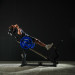 Force USA Compact Leg Press & Hack Squat V4
