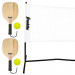 Franklin Pickleball 2-Player Court Set