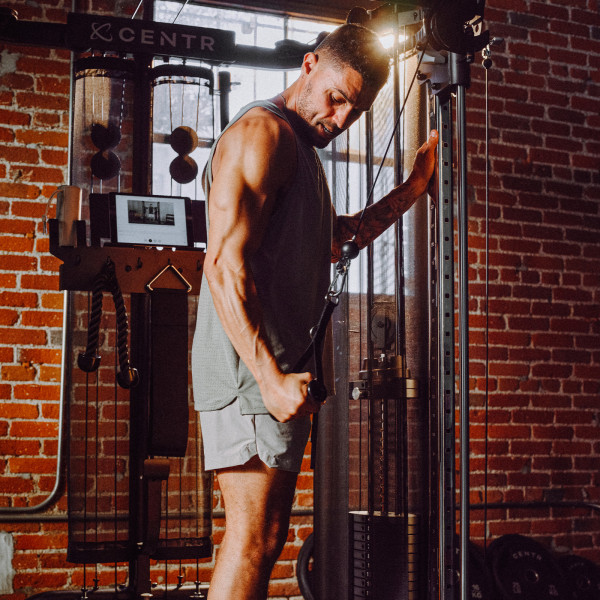 Inspire Fitness SF6 Smith Functional Trainer