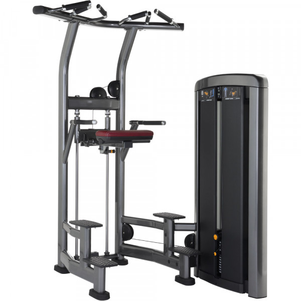 Life Fitness Insignia Series Assisted Dip/Chin Machine