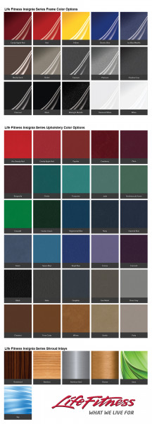 Life Fitness Insignia Series Assisted Dip/Chin Machine