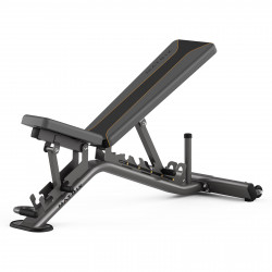 Matrix Multi-Adjustable Weight Bench