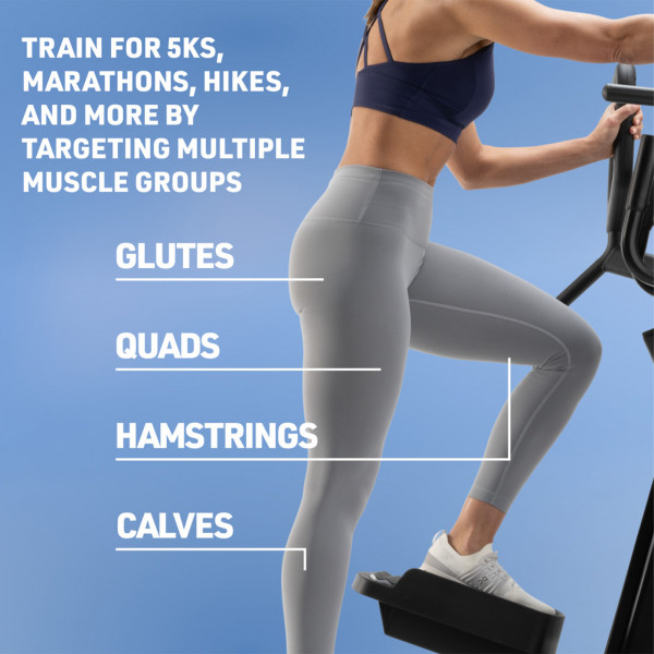 Muscle groups targeted by NordicTrack Step Climber workout