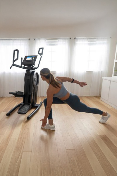 NordicTrack Step Climber