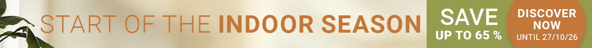 promo-banner