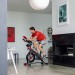 Schwinn 800IC Indoor Cycle (Formerly IC8)