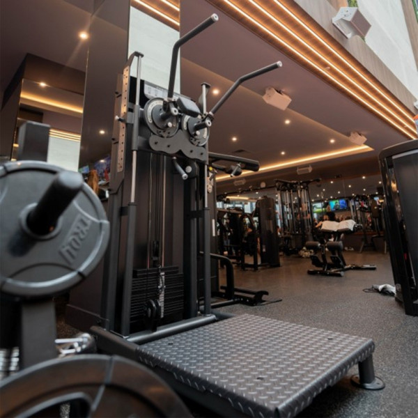 Carousel image of the Skelcore Elite Standing Multi Flight Machine in a gym environment. This version shows the handles in the upright position.