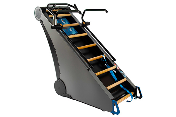 StairMaster Jacobs Ladder