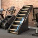 StairMaster Jacobs Ladder 2