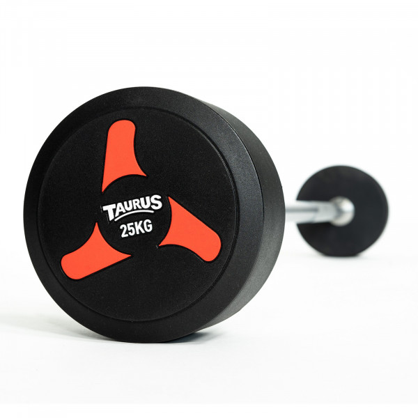 Angled view of the 25kg Taurus Fixed Barbell V2.