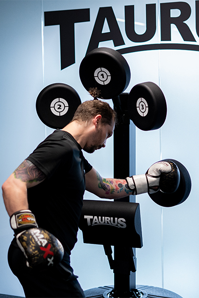 Taurus Boxing Punch Bag Target Tree