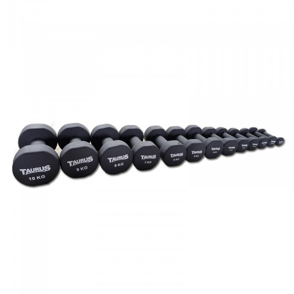 Hero image of the taurus neoprene dumbbells in an array