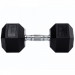 Taurus Hex TPE Single DB 15kg