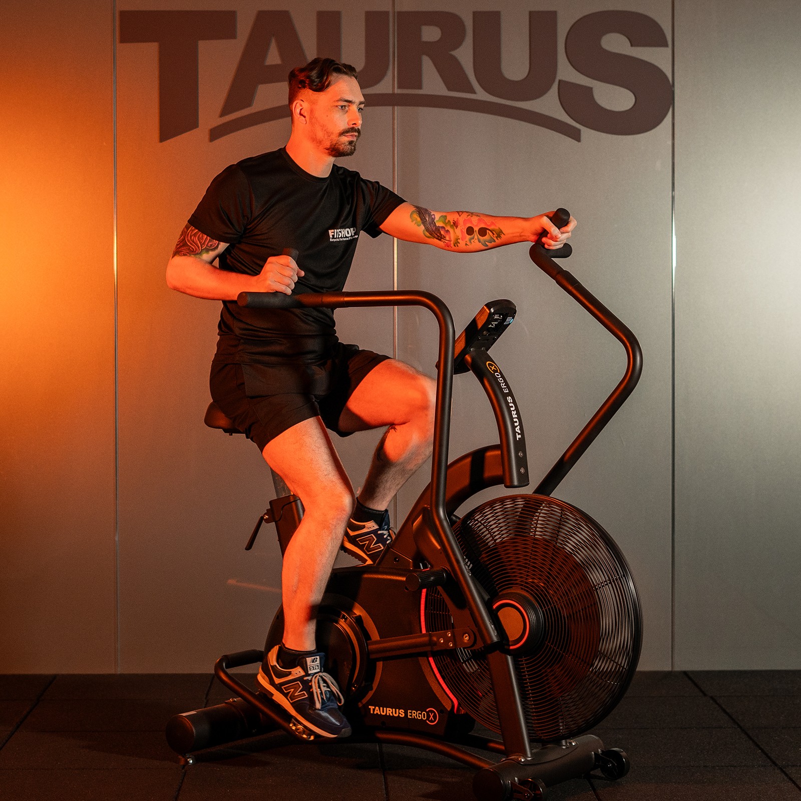 Ergo air bike best sale