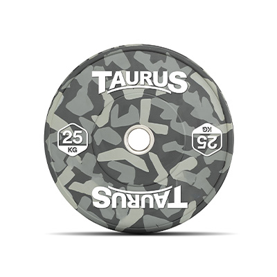 Taurus Power Sled Package