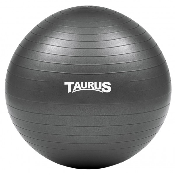 Taurus 65cm Gym Ball inc Pump White background image