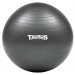 Taurus 65cm Gym Ball inc Pump