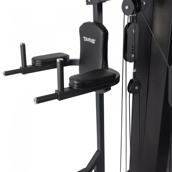 Close-up image of the Taurus WS5 Multi-Gym dipping station