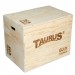 Taurus 3 in 1 Wooden Plyo Box