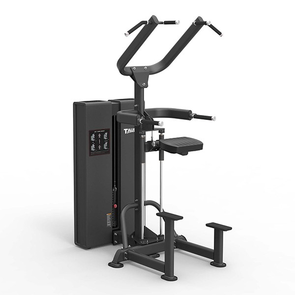 Taurus Pro Assisted Chin & Dip Machine from a side view