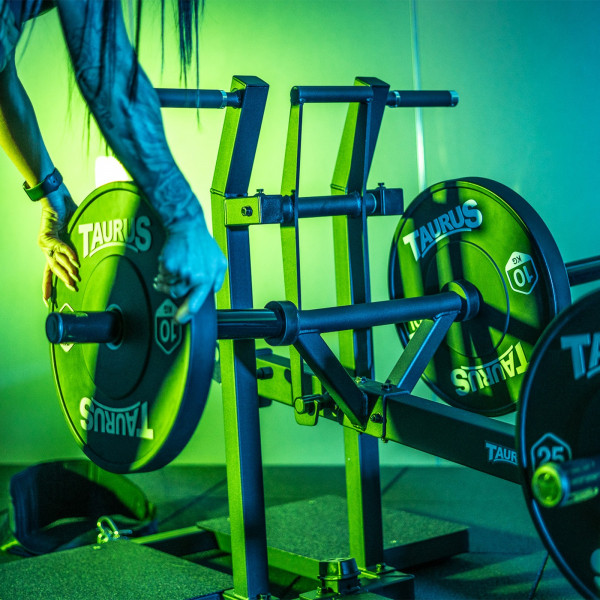 Closeup of weight plates on the Taurus Pro Iso Belt Squat