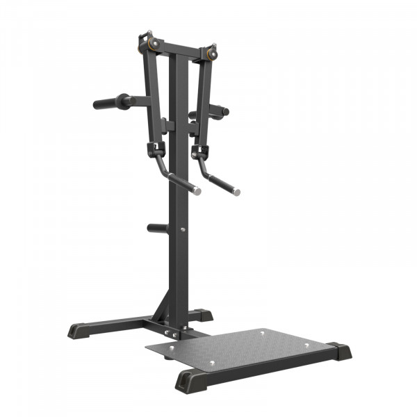 Product image of the Taurus Pro Iso Standing Lat Raise - hero