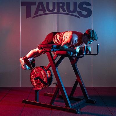 Model training on the Taurus Pro Iso Reverse Hyperextension