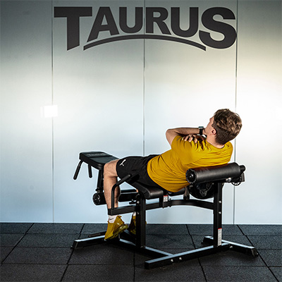 Taurus Leg Extension and Curl Machine (5-In-1)