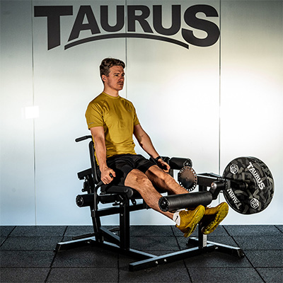 Taurus Leg Extension and Curl Machine (5-In-1)