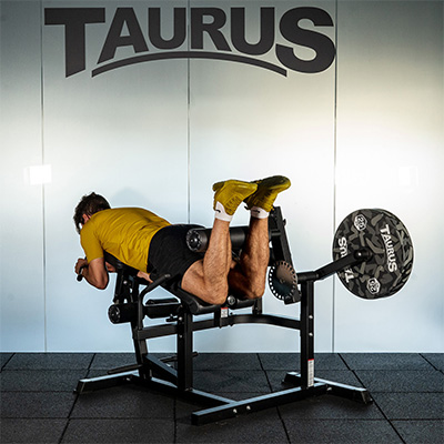 Taurus Leg Extension and Curl Machine (5-In-1)