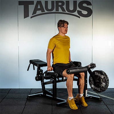 Taurus Leg Extension and Curl Machine (5-In-1)