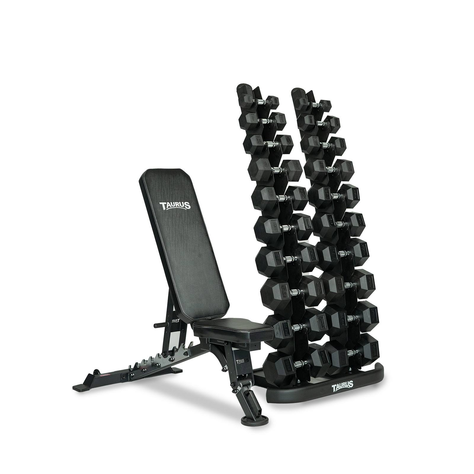10 dumbbells 2025